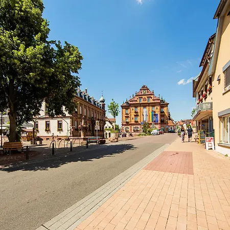 Apartmán In Near Europa-park, Cleaning Included Herbolzheim
