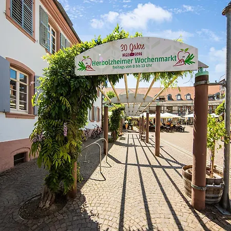 In Near Europa-park, Cleaning Included Herbolzheim